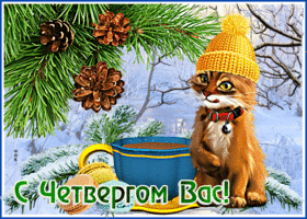 Postcard прикольная открытка с рыжим котиком с четвергом вас!