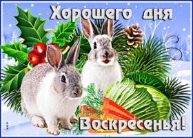 Picture прикольная открытка с зайцами хорошого дня воскресенья!
