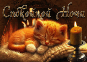 Postcard прикольная открытка спокойной ночи! с маленьким котенком
