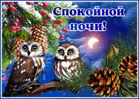 Открытка прикольная открытка спокойной ночи с совами