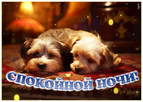 Postcard притягательная гиф-открытка с собачками спокойной ночи