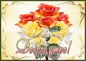 Picture радужная открытка с цветами доброе утро