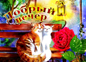 Открытка романтичная открытка с котиками добрый вечер