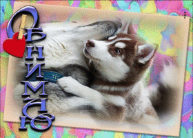 Picture романтичная открытка обнимаю с собачками