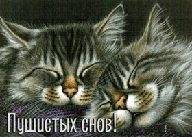 Postcard романтичная открытка с котиками пушистых снов!