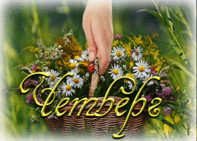 Postcard роскошная открытка с цветочками четверг