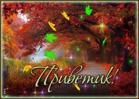Picture роскошная открытка с падающими листьями приветик!
