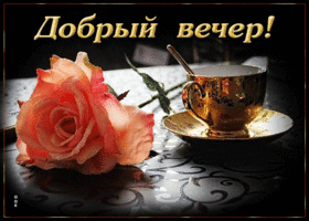 Picture роскошная открытка с розой и чаем добрый вечер