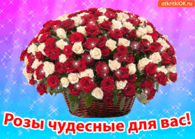 Картинка розы чудесные для вас!