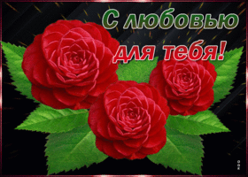 Картинка с любовью для тебя красивая открытка с красными розами