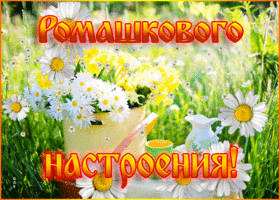 Картинка открытка с цветами