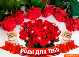 Открытка самые красивые розы для тебя