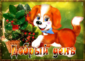 Картинка шикарная открытка добрый день с собачкой