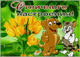 Открытка шикарная открытка отличного настроения с тюльпанами