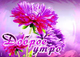 Postcard шикарная открытка с фиолетовыми цветами доброе утро