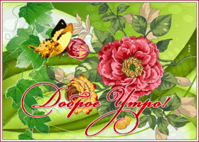 Postcard симпатичная открытка доброе утро! с бабочкой и цветами