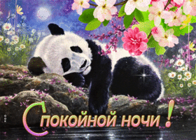 Picture симпатичная открытка с пандой спокойной ночи