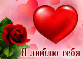 Picture симпатичная открытка с розой и сердцем я люблю тебя