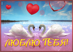 Picture сказочная открытка с лебедями люблю тебя