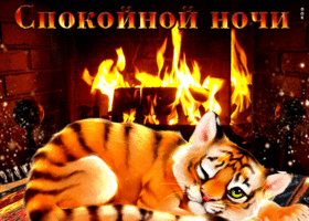 Postcard сказочная открытка спокойной ночи с тигром
