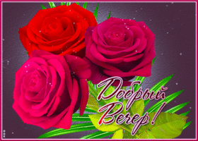 Picture славная открытка с тремя розами добрый вечер