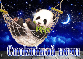 Картинка смешная открытка спокойной ночи с пандой