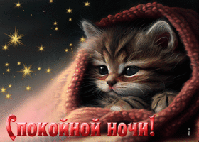 Picture сногсшибательная открытка с котиком спокойной ночи