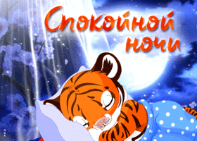 Postcard совершенная открытка с тигренком спокойной ночи
