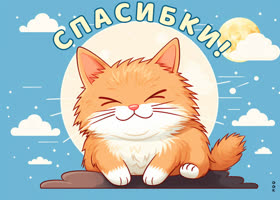 Postcard стильная открытка с котиком спасибки