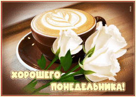 Picture супер открытка с белыми розами хорошего понедельника!