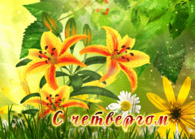 Postcard супер открытка с цветами с четвергом