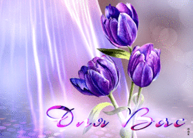 Picture супер открытка с фиолетовыми тюльпанами для вас