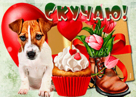 Postcard супер открытка скучаю! с кексиком и собачкой