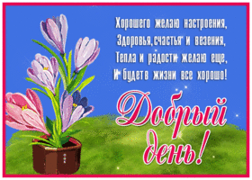 Postcard сверкающая открытка добрый день! с цветами