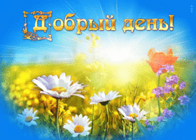 Picture сверкающая открытка с полем цветов добрый день