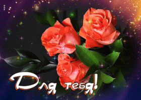 Picture трогательная и душевная гиф-открытка с розами для тебя