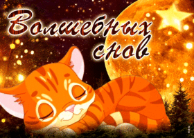 Postcard трогательная открытка волшебных снов! с котиком