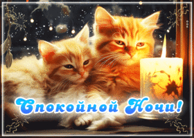Picture творческая гиф-открытка с котятами спокойной ночи