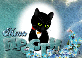 Postcard удивительная открытка меня прости! с черным котиком