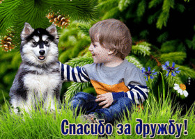 Picture удивительная открытка спасибо за дружбу! с мальчиком и собакой