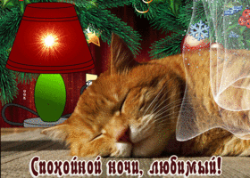 Postcard удивительная открытка спокойной ночи, любимый! с рыжим котом