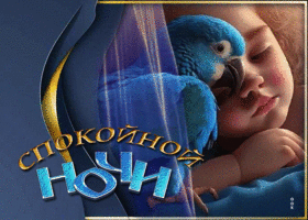 Picture умиротворяющая гиф-открытка с попугайчиком спокойной ночи