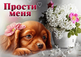 Picture уникальная открытка с милой собачкой прости меня