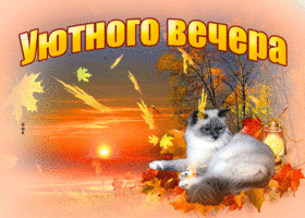 Postcard вдохновенная и яркая открытка с кошкой уютного вечера