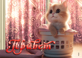 Picture великолепная гиф-открытка с котенком привет