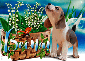 Открытка великолепная открытка весна, с пёсиком
