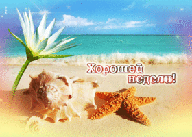 Postcard великолепная открытка хорошей недели! на морском пляже