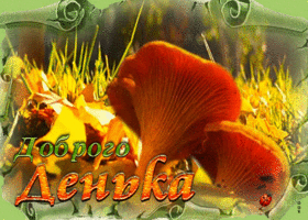 Picture веселая и радостная открытка с грибочком доброго денька