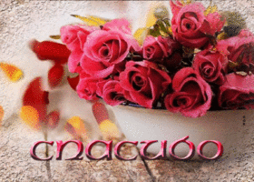 Открытка видео открытка спасибо, с розами