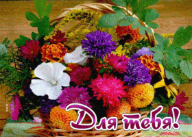 Picture виртуальная открытка с букетом цветов для тебя